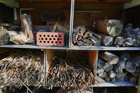 昆虫生态学图片