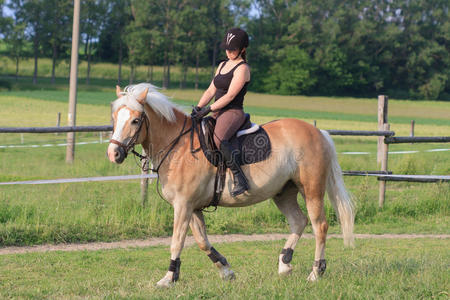 字谜一点一横长一年幼的女人骑马一马h一flinger照片