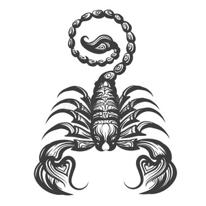 轮廓关于蝎子隔离的蝎子天蝎座黄道带符号木刻设计文身蝎子.