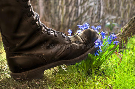 无知觉鞋子无情地踩花照片