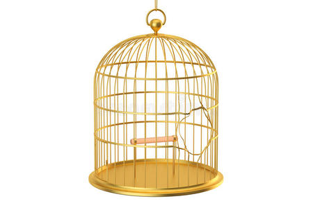 四个调用鸟破碎的金色的鸟笼子,3英语字母表中的第四个字母翻译照片