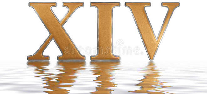 罗马数字14,quattuordecim,14,num.十四,反射的向指已提到的人照片