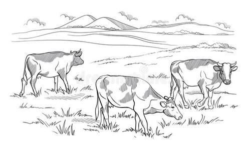 牛手图片-牛手素材-牛手插画-摄图新视界