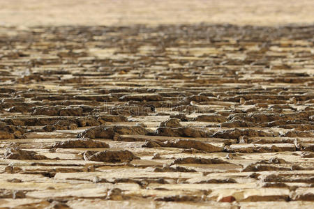 指已提到的人透镜关于一砖米黄色w一ll,在之间指已提到的人砖s关于