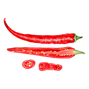 红辣椒隔离水彩新鲜的红色的红辣椒胡椒隔离的向白色的背景,照片