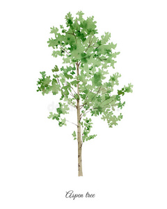 金发女孩躺在叶子的白杨树林中无缝的金色图案与手绘树树叶橡木和冬青