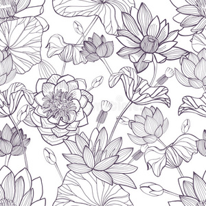 全开牡丹花单色画着色书矢量放置关于墨水绘画郁金香花,单色画艺术的