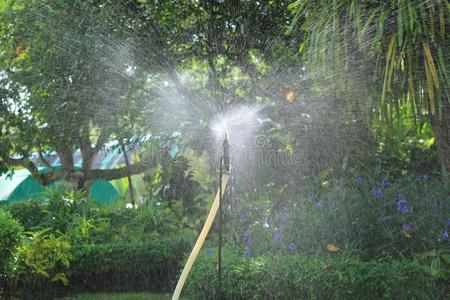 草地喷塑草地洒水器喷雾水照片