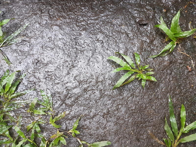 棕色泥湿的棕色的泥土照片