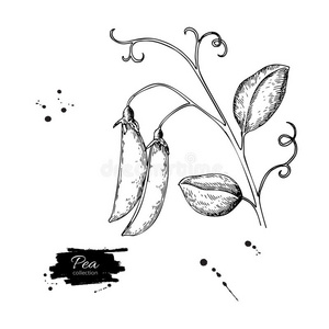 语数英图片-语数英素材-语数英插画-摄图新视界