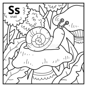 英文花体游戏名色彩书,无色的字母表.