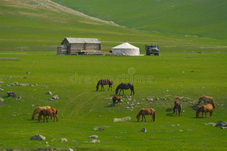 蒙古的风景和马和蒙古包照片