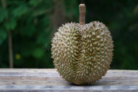 新鲜的榴莲果向污迹背景照片