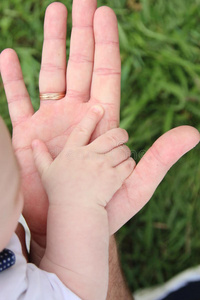 父亲佃户租种的土地婴儿手.