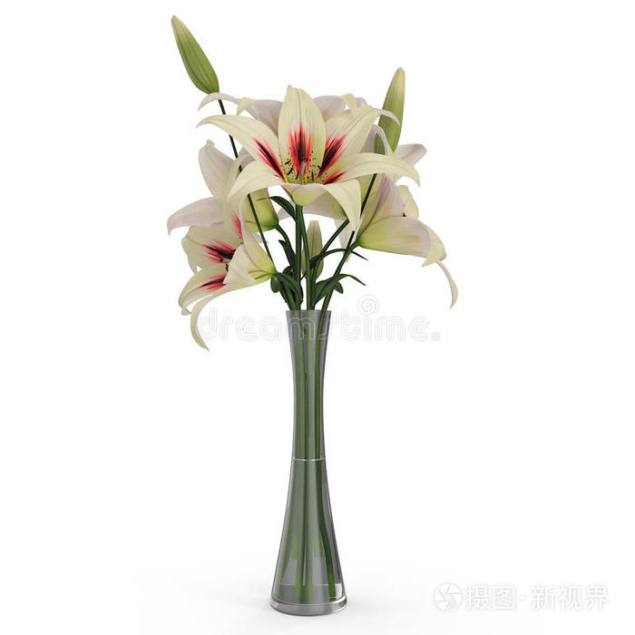白色的百合花装饰瓶向白色的 3英语字母表中的第四个字母illustrati向插画 正版商用图片3bfhp1 摄图新视界