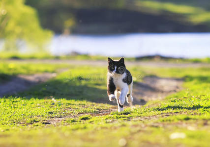 阳光的乐趣图片