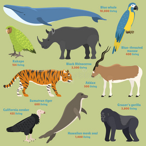 犀牛删除不同的种类删除物种渴望罕见的不寻常的红色的书美洲黑杜鹃