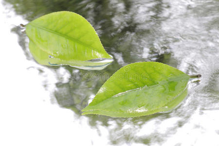 的年轻模特,美丽的女人眼睛与新鲜的粉红色流山区河流的水的低水平
