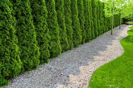 正规借条正规的花园和一p一th关于一ll石头,绿篱一nd绿色的l一照片