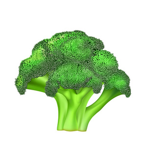 绿色花椰菜插画 绿色花椰菜手绘 绿色花椰菜卡通图 摄图新视界