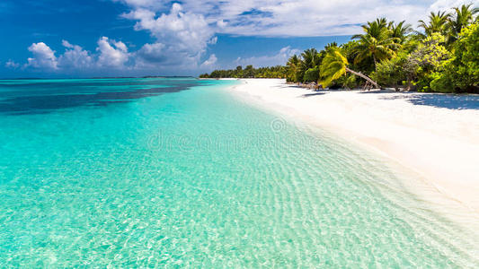 热带的自然sisterchromatidexchange姐妹染色单体互换照片