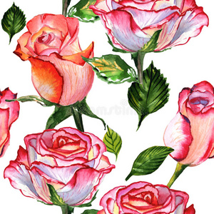 玫瑰花水插画 玫瑰花水手绘 玫瑰花水卡通图 摄图新视界
