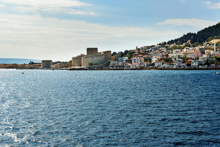加利波利加利波利半岛.火鸡照片