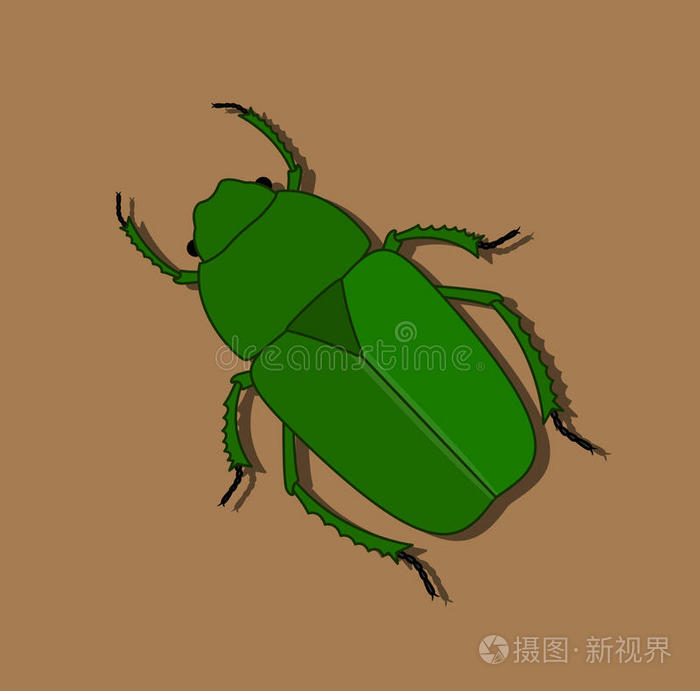 绿色的甲壳虫虫