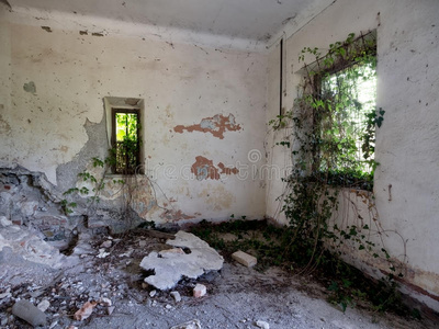 被放弃的和被抛弃的空间,和常春藤生长的通过窗照片