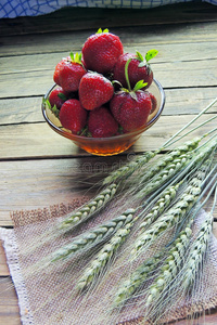 koloc草莓和小穗关于小麦照片