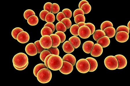 细菌奈瑟氏菌淋球菌在模糊的背景下, 蓝色球菌细菌类型,病毒或孢子的