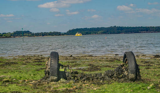 生态居住环境图片