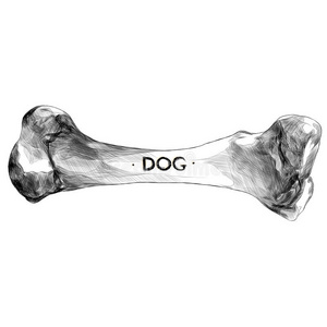 狗骨头草图矢量照片