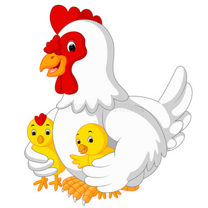 小母鸡动画母亲母鸡和它的婴儿小鸡照片