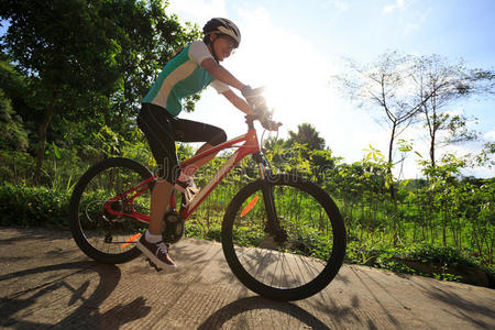 骑自行车的人骑脚踏车兜风向日出森林跟踪照片