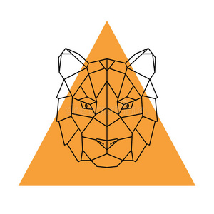 几何老虎几何学的上端老虎.野生的动物.照片