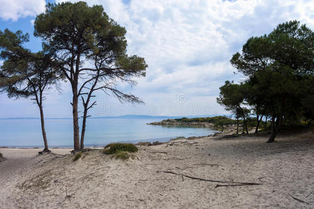 哈尔基季基美丽的风景在旁边指已提到的人海采用沃夫鲁,哈尔基季基