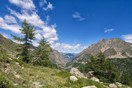 的人alkali-treatedlipopolysaccharide碱处理的脂多糖采用山麓地带