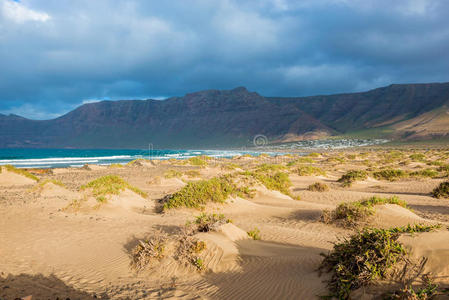 在海岸沙丘图片