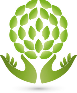 两个绿色的树叶图片