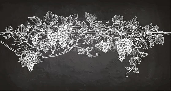黑藤藤草图向黑板照片