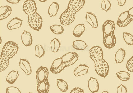 地花生图片-地花生素材-地花生插画-摄图新视界