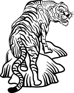 插画纯线条老虎照片