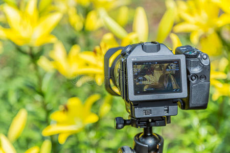 数字的照相机leastcommondenominator最小公分母展览照片