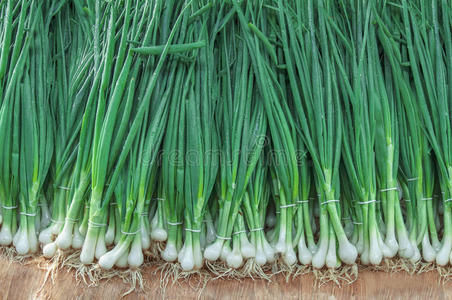 韭葱图片