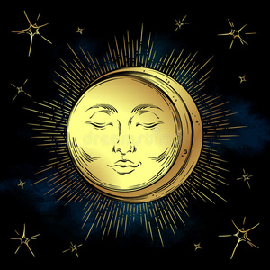 金太阳蜜瓜图片