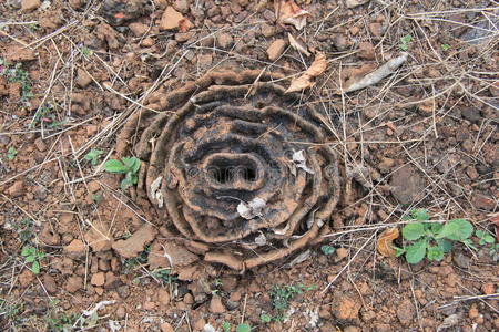 窝室收割庄稼的人蚂蚁窝照片