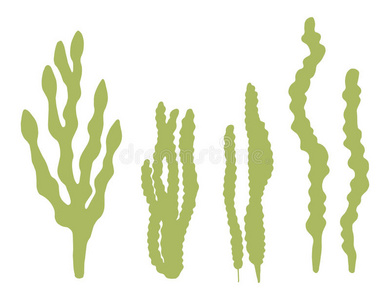 矢量海草图片-矢量海草素材-矢量海草插画-摄图新视界