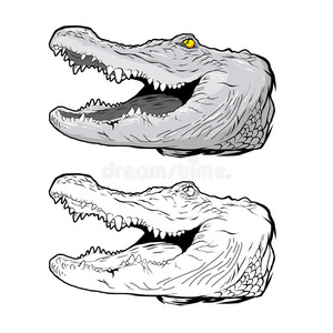 鳄鱼吉祥物图片