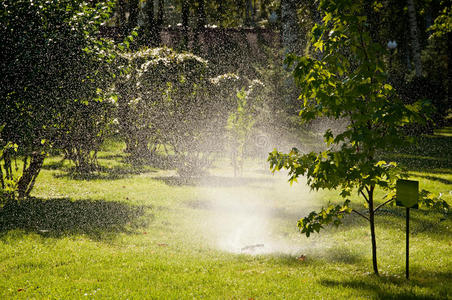 草地喷塑指已提到的人草地洒水器喷雾水照片